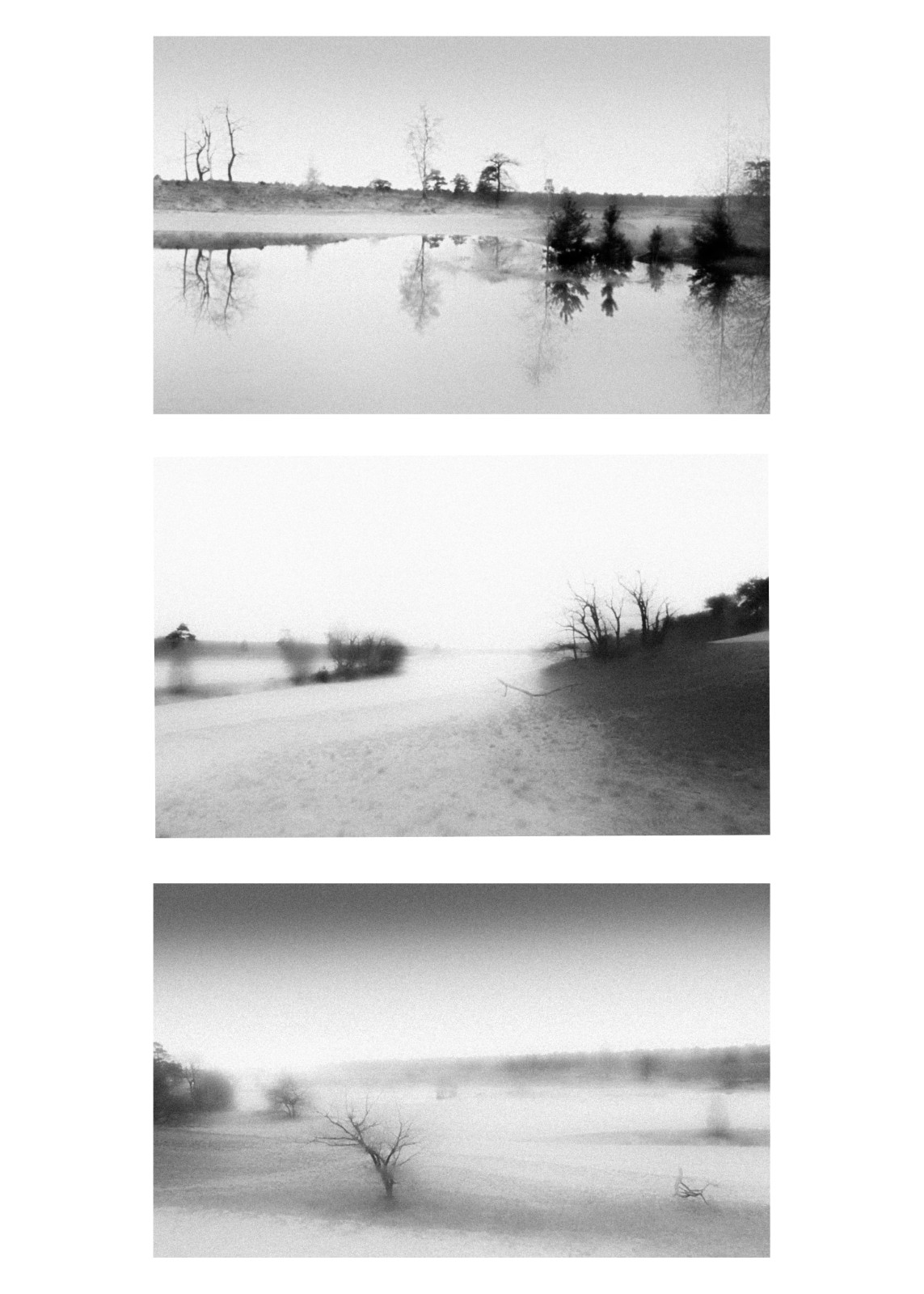 Fotoclub Raamsdonksveer